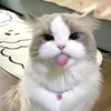 linnngth84