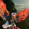 valonakrenare2