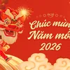 quangduy20060