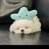 hoanglam1809207gmail