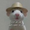 mohamedzakaria4236