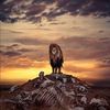 anas.hammad51