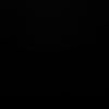 jaydenvu17