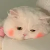 lifegetshardlately