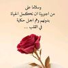 user8162416109474