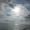 dina.litoy