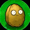user5629555403609