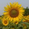 rakib4513014gmail.com