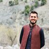 s.hamid115