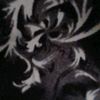 queen.of.murale
