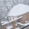 tyler.chamberlain7