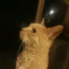 itsjustmearealperson