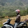 tr.v.pao