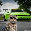 baker_alaa_2011