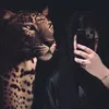 doaaqais6