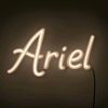 ariel.monter.hern