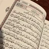 asal.ibrahimkhil