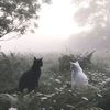 ilnam_2039