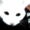 manos_shadow