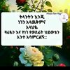 user3417030325595