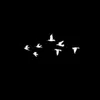 fza_hra22