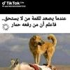 user7516116834215