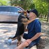 squirrel.chaser3