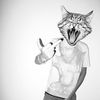 avahh.gumball
