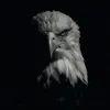 eagle_157