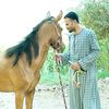alhawary_j88