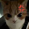 zup.zup6