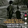 sapolin21