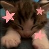 cat_girl.kittyy
