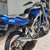 daod2929
