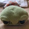 tiny_turtle83