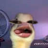 mi.zuki_212