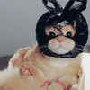 meowxinh201