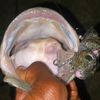 fishingguy2224