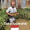 marcel_tokearowana