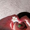 andreealexander1