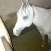jose.gqh