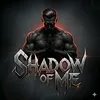 sh4d0w0fm3