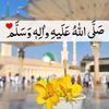 user94628252446255
