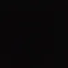 bruno_nzz