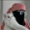 أنيقة بنفسي