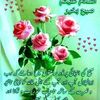 khansahab346261