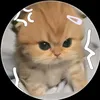 niki_ilysmmm