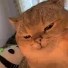 hoangquannnnnnnnn