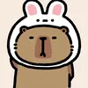 meoconxinhxan09