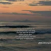 __nguoivietcactay